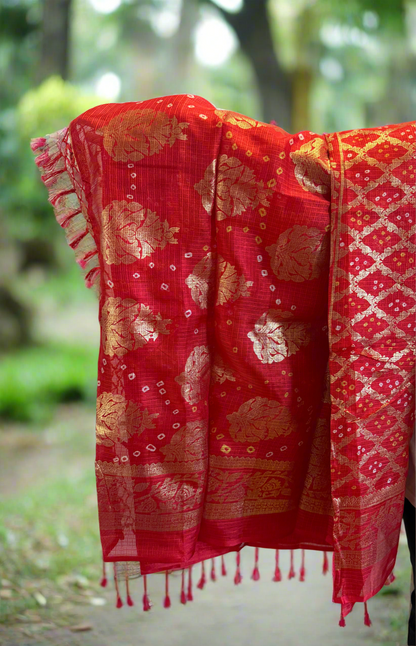 Chunari sari with fall and pico